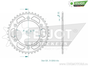 Πίσω γρανάζι Esjot ασημί - 41 δόντια (βήμα 520) - Brixton Crossfire 500 ABS - X ABS / Gas Gas Pampera