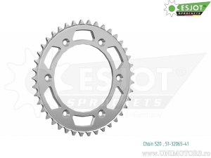 Πίσω γρανάζι Esjot ασημί - 41 δόντια (βήμα 520) - KTM Adventure 890 ABS - L ABS A2 - R ABS / Enduro 69