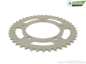Πίσω γρανάζι Esjot ασημί - 42 δόντια (βήμα 525) - BMW S 1000 XR ABS - DTC - ESA - RR - R ABS - R ABS D
