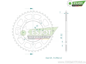 Πίσω γρανάζι Esjot ασημί - 42 δόντια (βήμα 525) - BMW S 1000 XR ABS - DTC - ESA - RR - R ABS - R ABS D