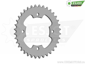 Πίσω γρανάζι Esjot μαύρο - 36 δόντια (βήμα 520) - Explorer Trasher 2 520 ('11-'15) / Trasher 2 520 Sup