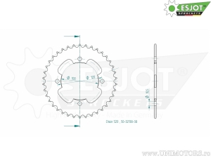 Πίσω γρανάζι Esjot μαύρο - 38 δόντια (βήμα 520) - Explorer Trasher 2 520 ('11-'15) / Trasher 2 520 Sup