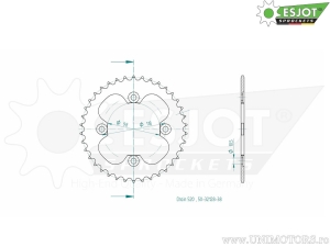 Πίσω πίνακας Esjot μαύρος - 38 δόντια (βήμα 520) - CAN-AM DS 450 - X International - X-mx - X-mx Inte