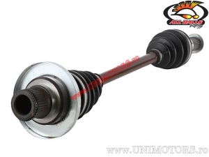 Πλανητικός δίσκος (πίσω / αριστερά) - Yamaha YFM660 Grizzly ('03-'08) - All Balls