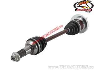 Πλανητικός δίσκος (πίσω / αριστερά) - Yamaha YFM660 Grizzly ('03-'08) - All Balls