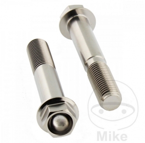 Σετ βιδών μπροστινού δαγκάνα Pro Bolt τιτάνιο - KTM Duke 690 ABS ('13-'17) / Yamaha MT 125 ('14-
