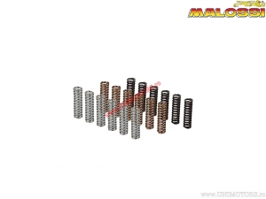 Σετ ελατηρίων συμπλέκτη Racing (2913327) - Yamaha T-Max 500 H2O 4T E1 ('01-'03) / T-Max ABS 500i H2O 4T E3 