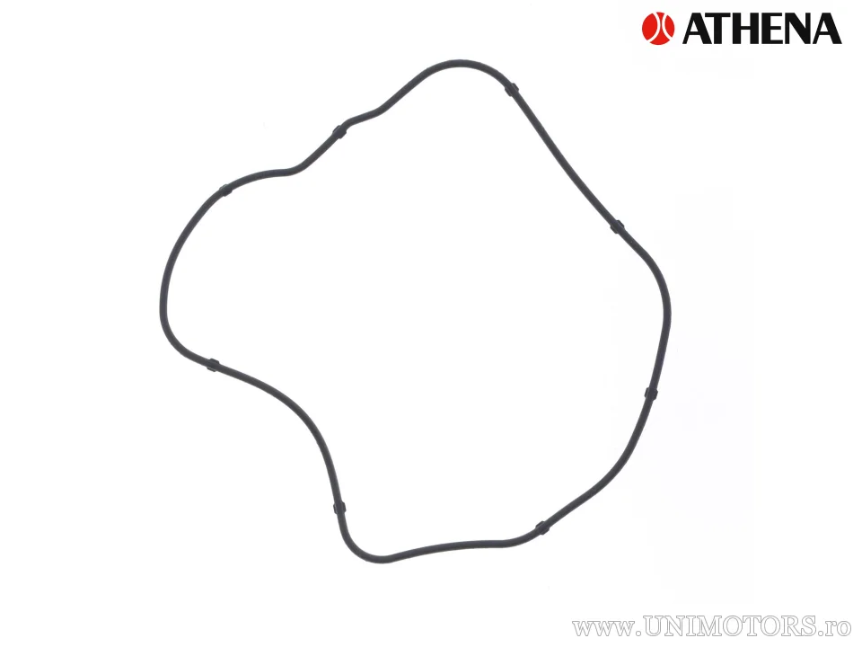 Σετ κεφαλής Honda FES 250 Foresight ('98-'00) / NSS 250 XA Forza ('05-'13) / Piaggio X9 250 ('00-'02) - Athena