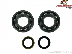 Σετ ρουλεμάν / σφραγίσματα άξονα - Beta EVO 2T 125 / EVO 2T 200 / EVO 2T 250 ('13-'21) / EVO 2T SS300