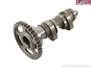 Ос на стъпка 3 - Honda CRF450 R ('09) - Hot Cams