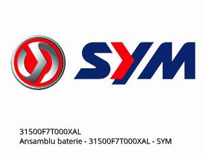 Accu assy - 31500F7T000XAL - SYM