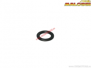 Adattatore variatore Multivar - Malossi