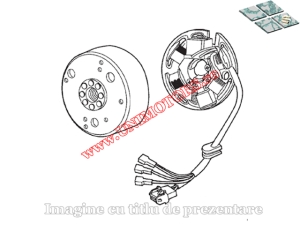 Allumage complet - stator et volant - Gilera RCR / SMT / Derbi Senda (Leonelli) - (SGR)