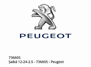 Anilha 12-24-2,5 - 736605 - Peugeot