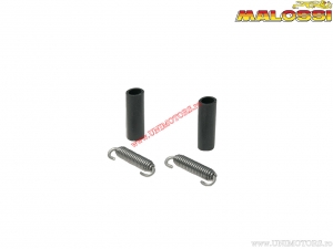 Arcuri / tires exhaust system Maxi Wild Lion - 2 pieces - Malossi