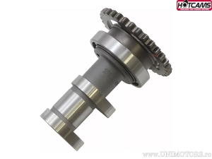 As uitlaatfase 2 - Suzuki RM-Z250 ('16-'20) - Hot Cams
