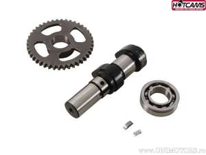 Ax came evacuare Stage 1 - Polaris Outlaw 500 2WD ('06-'07) / Predator 500 2WD ('03-'07) - Hot Cams