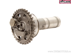 Ax came evacuare Stage 1 - Yamaha WR400 F ('98-'00) / WR426 F ('01-'02) / YZ400 F ('98-'99) / YZ426 F ('00-'02) - Hot Cams
