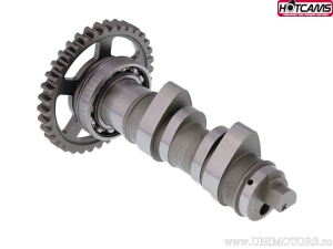 Ax came Stage 1 - Honda CRF450 R ('09) - Hot Cams