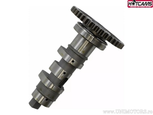 Ax came Stage 2 - Honda CRF250 R ('10-'15) - Hot Cams