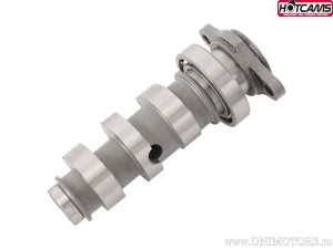 Ax came Stage 2 - Honda TRX450 ER Sportrax Electric Starter ('08-'14) - Hot Cams