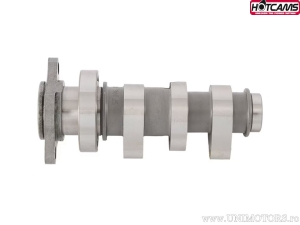 Ax came Stage 2 - Honda TRX450 ER Sportrax Electric Starter ('08-'14) - Hot Cams