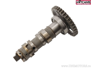 Ax came Stage 3 - Honda CRF450 R ('09) - Hot Cams
