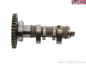 Ax came Stage 3 - Honda CRF450 R ('09) - Hot Cams
