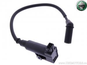 Bobina de inducción con enchufe de 120 grados - Benelli Imperiale 400 ABS ('19-'22) - Benelli