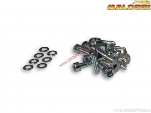 Bolt complet aprindere rotor intern (1917980) - Piaggio H2O - Malossi