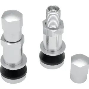 Bolt-In Valve Stem - Chrome - 03600010