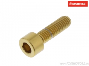 Bout dop Pro Bolt M6 x 1.00 x 20 mm roestvrij staal A4 goud - JM