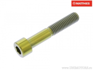Bout dop Pro Bolt M8 x 1.25 x 45 mm titanium goud - JM