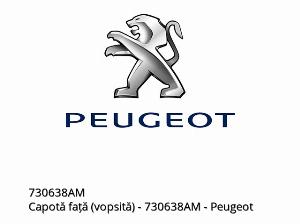 Cache avant (peint) - 730638AM - Peugeot