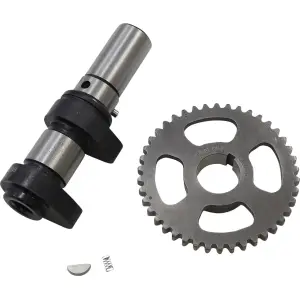 Camera di distribuzione scarico Stage 1 - 09250151