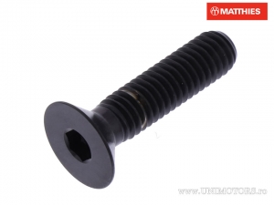 Cappuccio a vite a testa svasata Allen Pro Bolt M6 x 1.00 x 25 mm titanio nero - JM