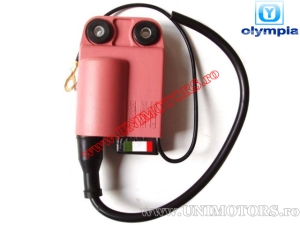 CDI 50cc 2T - Απρίλια Μοχίτο Καστομ / Ντέρμπι Άτλαντις / Τζιλέρα Ίζι Μούβινγ�