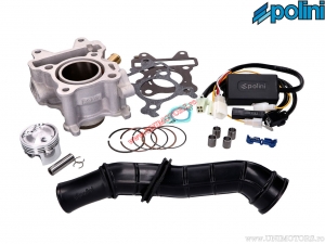 Cilinder set (diameter 44mm / 66,29cc) - Polini