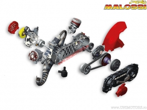 Complete Yamaha C-One 70cc Engine (unassembled) - Aprilia SR Netscaper 50 2T LC (Minarelli) - Malossi
