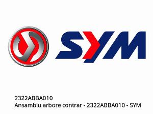 Conjunto de eje secundario - 2322ABBA010 - SYM