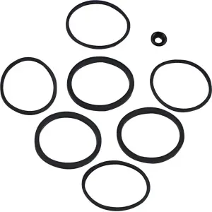 Conjunto de juntas de pinça/êmbolo - Preto - 17020464
