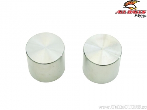 Conjunto de pistão da pinça de freio traseiro - Can-Am Defender 1000 / Defender 700 / Defender Max 1000DPS / Defender Max 800X