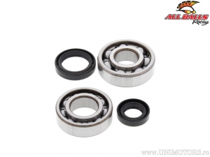 Conjunto de rolamentos e retentores do virabrequim - Suzuki RM125 - All Balls