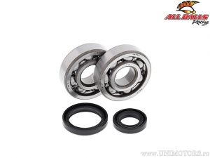 Conjunto de rolamentos e retentores do virabrequim - Suzuki RM80X / RM85 / RM85L - All Balls