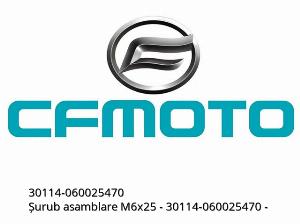 Conjunto de tornillo M6x25 - 30114-060025470 - CFMOTO