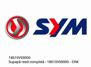 Conjunto de válvula de palheta - 18610VS9000 - SYM