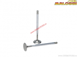 Conjunto de válvulas de escape (cabeça Malossi) - Malossi