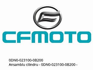 Conjunto do cilindro - 0DN0-023100-0B200 - CFMOTO