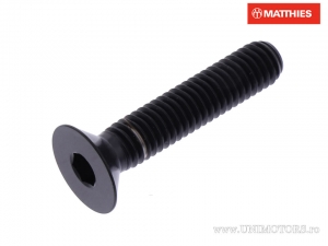 Coperchio vite a testa svasata Allen Pro Bolt M6 x 1.00 x 30 mm titanio nero - JM