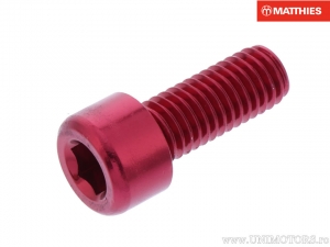 CYLINDER SCREW WITH HEX SOCKET - JM
